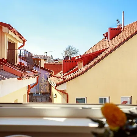 Vokieciu St. Boutique Apartman *